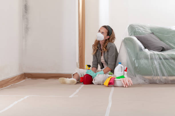 Reliable Bathroom Mold Removal contractor in Merion Station, PA by WQB Mold Removal